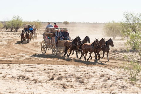Cobb And Co Stagecoach Experience - Attractions Melbourne 4