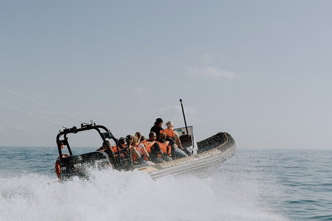 Whale Watching - Attractions Melbourne 2
