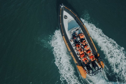 Whale Watching - Attractions Melbourne 3
