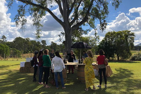 Hinterland Cheese & Wine Tasting Tour - With 2 Course Lunch Included - Attractions Melbourne 1