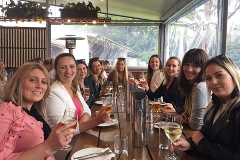 Hinterland Cheese & Wine Tasting Tour - With 2 Course Lunch Included - Attractions Melbourne 0