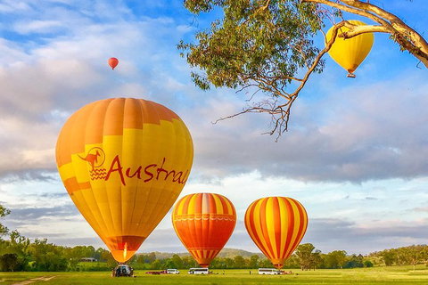 Hot Air Ballooning Brisbane Including Canungra Vineyards Breakfast - Attractions Melbourne 7