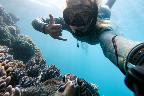 3 Day And 2 Night Whitsundays Maxi Sailing Adventure On Hammer - Attractions Melbourne 6