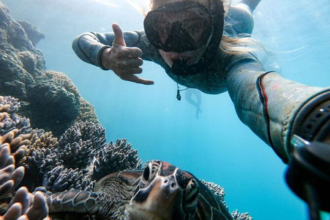 4 Day And 3 Night Whitsunday Maxi Sailing Adventure On Condor - Attractions Melbourne 9