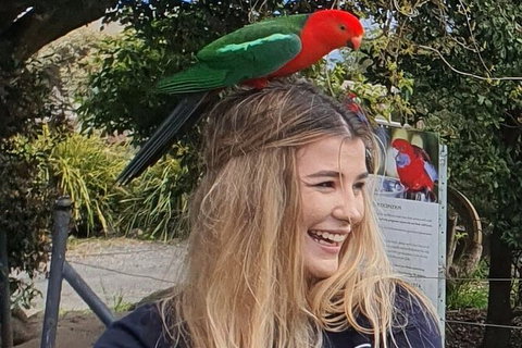 Oâ€™Reillyâ€™s Rainforest Retreat And Winery Day Tour From Nerang - Attractions Melbourne 4