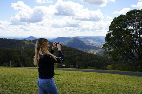 Oâ€™Reillyâ€™s Rainforest Retreat And Winery Day Tour From Nerang - Attractions Melbourne 5