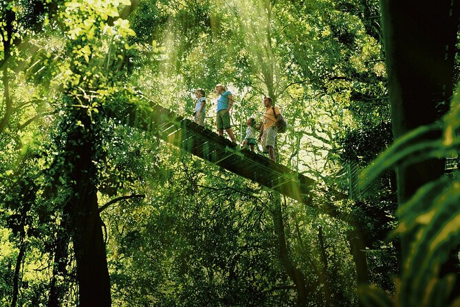 Gold Coast South QLD Attractions Melbourne