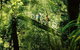 Oâ€™Reillyâ€™s Rainforest Retreat And Winery Day Tour From Nerang - thumb 0