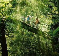 OReillys Rainforest Retreat and Winery Day Tour from Nerang - Attractions Melbourne