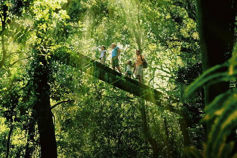 Oâ€™Reillyâ€™s Rainforest Retreat And Winery Day Tour From Nerang - Attractions Melbourne 0