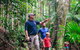 Oâ€™Reillyâ€™s Rainforest Retreat And Winery Day Tour From Nerang - thumb 3