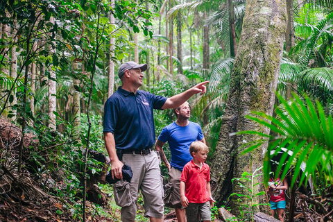 Oâ€™Reillyâ€™s Rainforest Retreat And Winery Day Tour From Nerang - Attractions Melbourne 3