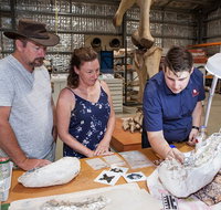 Australian Dinosaur Giants Tour - Attractions Melbourne
