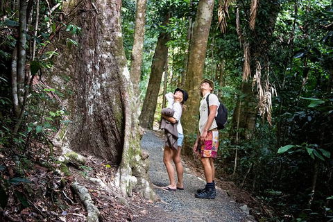 Chasing Waterfalls In The Whitsunday\'s Full Day Tour - Attractions Melbourne 19