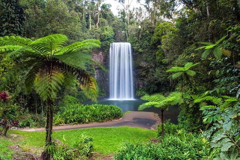 Cairns & Port Douglas All-Inclusive 7 Days Touring Package - Attractions Melbourne 5
