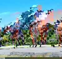 Mid-Morning Beach Horse Ride in Cape Tribulation with Pick Up - Attractions Melbourne