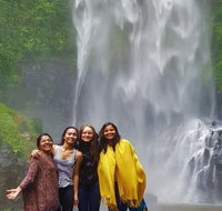 Full-Day Guided Sightseeing Tour of the Gold Coast Waterfalls - Attractions Melbourne