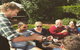 Full-Day Tamborine Guided Wine And Distillery Tour With Lunch - thumb 2