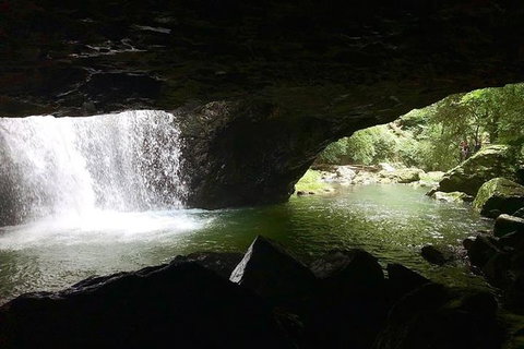 Springbrook Full Day Tour - Attractions Melbourne 5