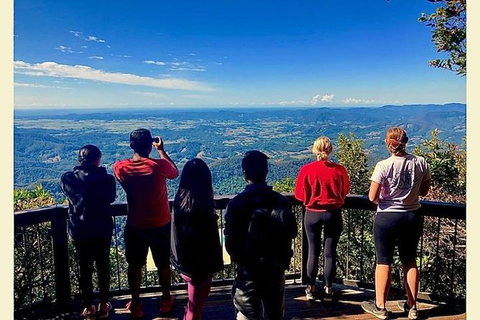 Springbrook Full Day Tour - Attractions Melbourne 3