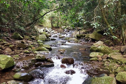 Springbrook Full Day Tour - Attractions Melbourne 4