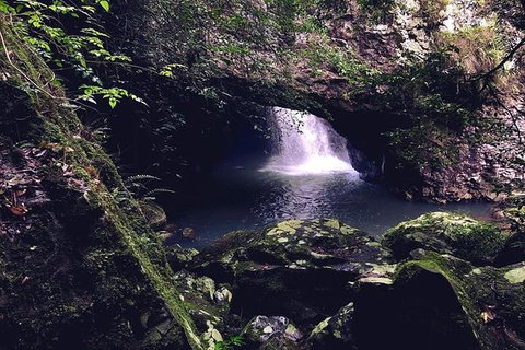 Springbrook Full Day Tour - Attractions Melbourne 2