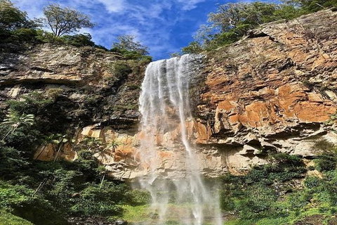 Springbrook Full Day Tour - Attractions Melbourne 1