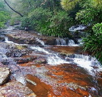 Springbrook Full Day Tour - Attractions Melbourne