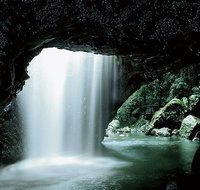 Glowworm Cave  Natural Bridge Tour - Attractions Melbourne