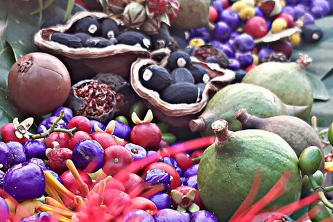 Wang\'ari Dreaming Bush Tucker Tour - Attractions Melbourne 0
