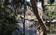 Wang\'ari Dreaming Bush Tucker Tour - thumb 4