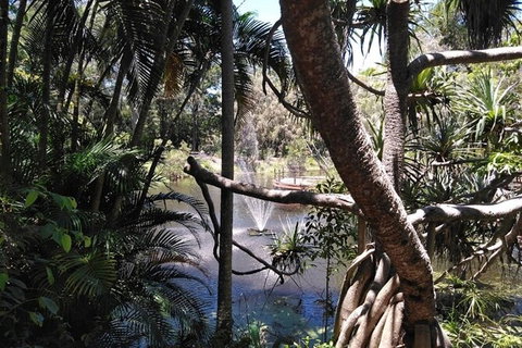 Wang\'ari Dreaming Bush Tucker Tour - Attractions Melbourne 4