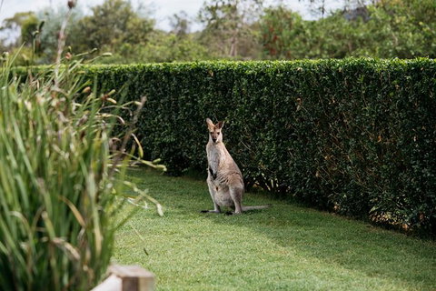 Local Wine Discovery - Attractions Melbourne 1
