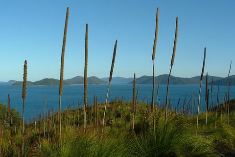 7-Day Private Sea Kayaking In Whitsundays - Attractions Melbourne 8
