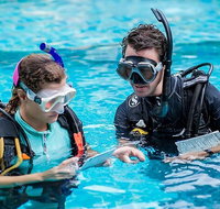PADI Diving Courses on the Gold Coast - Attractions Melbourne
