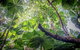 Half-Day Private Tour To Tamborine Mountain With Wine Tasting - Up To 6 People - thumb 1
