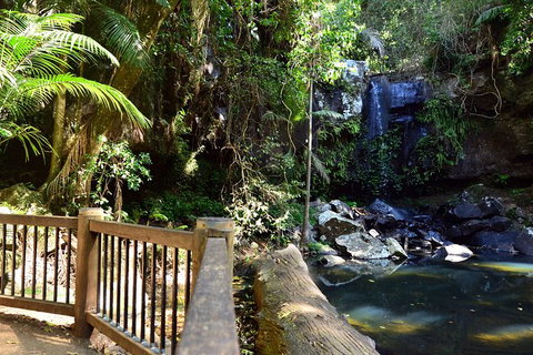 Half-Day Private Tour To Tamborine Mountain With Wine Tasting - Up To 6 People - Attractions Melbourne 3