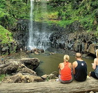 Private Half-Day Springbrook National Park Eco Tour - Up to 6 people - Attractions Melbourne