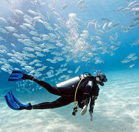 Exciting Gold Coast Diving Excursions - Attractions Melbourne