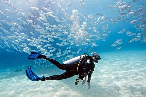 Exciting Gold Coast Diving Excursions - Attractions Melbourne 0