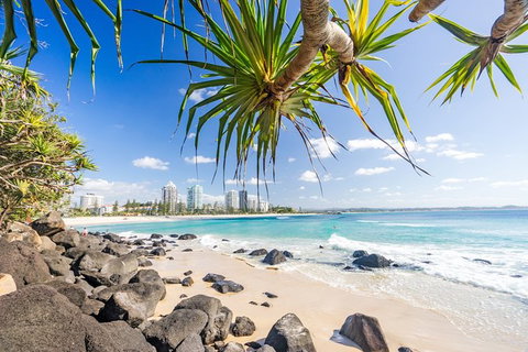 Exciting Gold Coast Diving Excursions - Attractions Melbourne 3