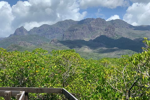 Hinchinbrook Island Tour - Attractions Melbourne 0