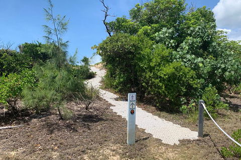 Hinchinbrook Island Tour - Attractions Melbourne 1