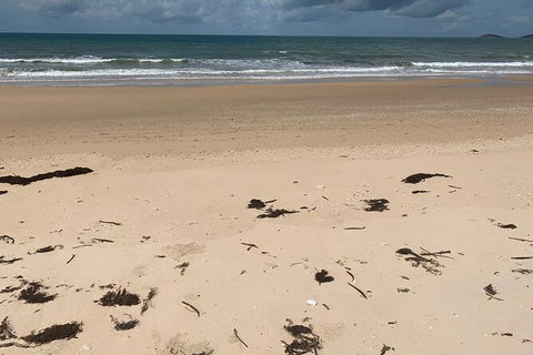 Hinchinbrook Island Tour - Attractions Melbourne 6