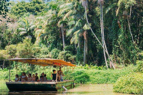 Tropical Fruit World Farm Full Tour - Attractions Melbourne 21
