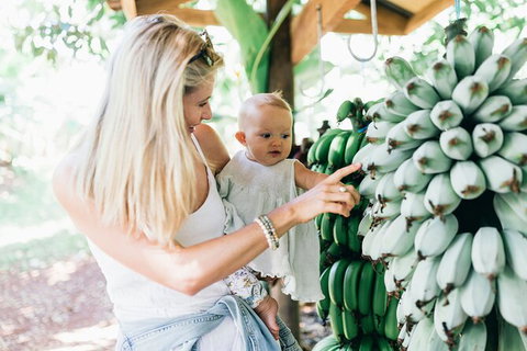 Tropical Fruit World Farm Full Tour - Attractions Melbourne 1
