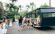 Tropical Fruit World Farm Full Tour - thumb 19