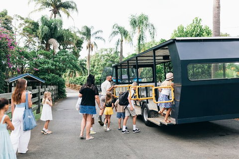 Tropical Fruit World Farm Full Tour - Attractions Melbourne 19