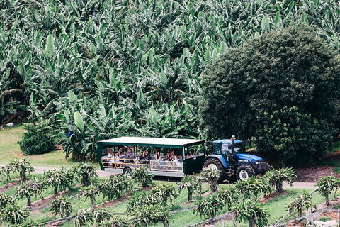 Tropical Fruit World Farm Full Tour - Attractions Melbourne 20