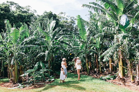 Tropical Fruit World Farm Full Tour - Attractions Melbourne 11